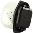 Blower Motor