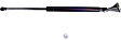 Passenger Side Liftgate Lift Support, 4 Cyl., 1.8L Engine