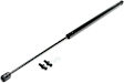 Driver or Passenger Side Trunk lid Lift Support