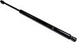 Driver or Passenger Side Liftgate Lift Support, Sport Utility