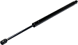 Driver or Passenger Side Liftgate Lift Support, Sport Utility