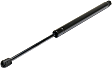 Driver or Passenger Side Trunk Lid Lift Support, 6 Cyl., 4.0L Engine, Sport Utility