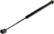 Driver or Passenger Side Back Glass Lift Support