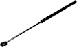 Driver or Passenger Side Liftgate Lift Support, 6 Cyl., 3.5L Engine