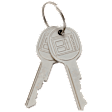 1985 Pontiac Firebird - Door Lock Cylinder, Set of 2
