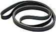 Serpentine belt, 6 Rib Count