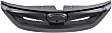 Grille, Painted Black, 4 Cyl., 2.5L Engine