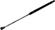 Driver or Passenger Side Hatch/Liftgate Lift Support