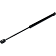 2004 Toyota 4Runner - Driver and Passenger Side Lift Support Hood, Sport Utility