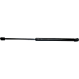 2004 Toyota 4Runner - Driver and Passenger Side Lift Support Hood, Sport Utility
