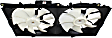 Radiator Fan Assembly, 6 Cyl., 3.0L/3.3L Engines