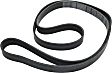Main Drive Serpentine belt