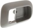 Front, Passenger Side, Interior, Door Handle Trim, Beige, 6 Cyl., 3.0L Engine