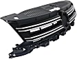 Grille, Textured Black, 4 Cyl., 2.0L Engine
