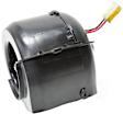 Blower Motor