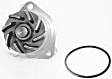 Water Pump, 2.8L Engine