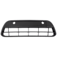 Front Bumper Grille, Platinum