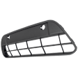 Front Bumper Grille, Platinum