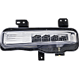 Front, Driver Side LED Fog Light, with Bulb