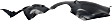  Front, Passenger Side Fender Liner, Easy/Lounge/Pop/Sport Models
