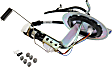 Fuel Pump, With Fuel Sending Unit, 8 Cyl., 4.6L Engine