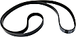 Serpentine belt