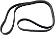 2007-2011 Dodge Caliber - Serpentine belt, 6 Rib Count