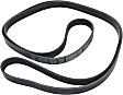 Serpentine belt, 6 Rib Count
