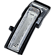 Passenger Side Mirror Turn Signal Light