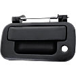 Tailgate Handle, Black, Without Camera Hole