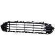 Front, Lower Bumper Grille, Black