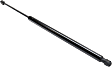 Driver or Passenger Side Liftgate Lift Support