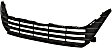 Lower Grille, 6 Cyl., 3.5L Engine
