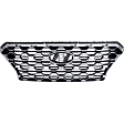 Grille Assembly, Painted Black Shell with Textured Dark Gray Insert