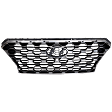 Grille Assembly, Painted Black Shell with Textured Dark Gray Insert