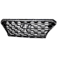 Grille Assembly, Painted Black Shell with Textured Dark Gray Insert, CAPA CERTIFIED
