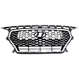 Grille Assembly, Painted Black Shell with Chrome Insert
