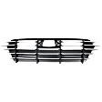 Grille, Black, 4 Cyl., 2.5L Engine