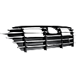 Grille, Black, 4 Cyl., 2.5L Engine
