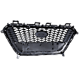 Grille Assembly, Black Shell and Insert