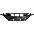 Grille, Textured Black, For Models with Radar Cruise Control, CAPA Certified