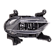 Front, Passenger Side Fog Light, With bulb(s), Halogen