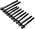Cylinder Head Bolt, Set of 10