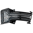 Passenger Side Mirror Turn Signal Light