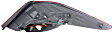 Driver Side Tail Light, with Bulb, Halogen, Clear and Red Lens