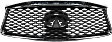 Grille Painted Gray