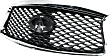 Grille Painted Gray