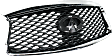 Grille Painted Gray