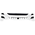 Grille, White, 43-inch Length, For Standard Cab