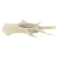 Fan Blade, Radiator Fan Blade